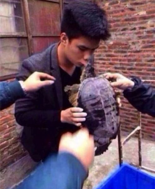 Не надо было целовать черепаху