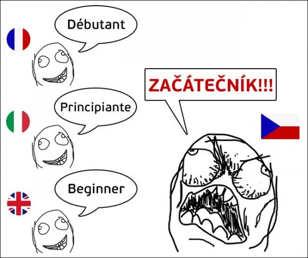 Особенности перевода на суровый чешский язык
