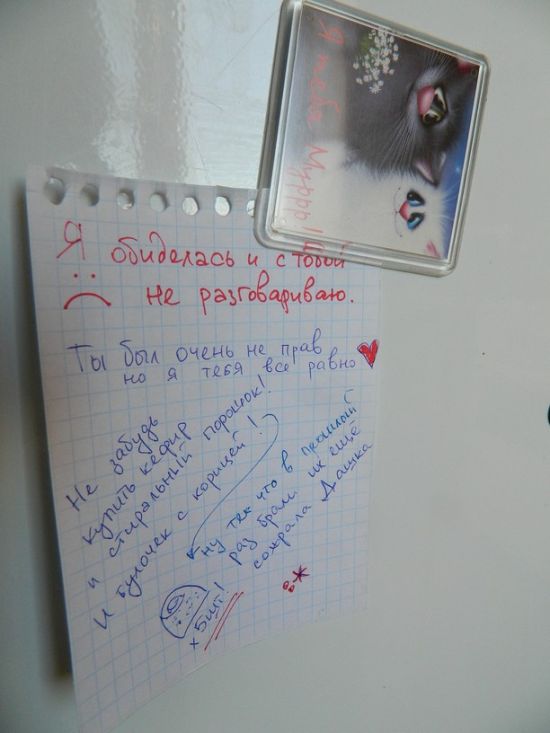Фотоподборка сообщений на холодильниках