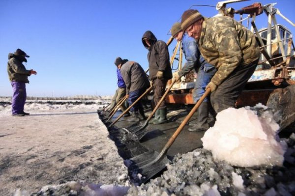 Как добывают соль в Крыму