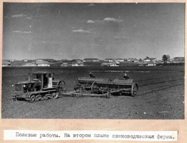 Совхоз имени Калинина, 30-е годы