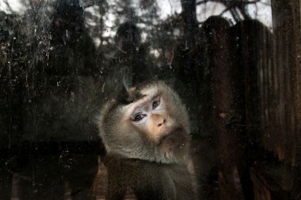 Фото из зоопарков всего мира