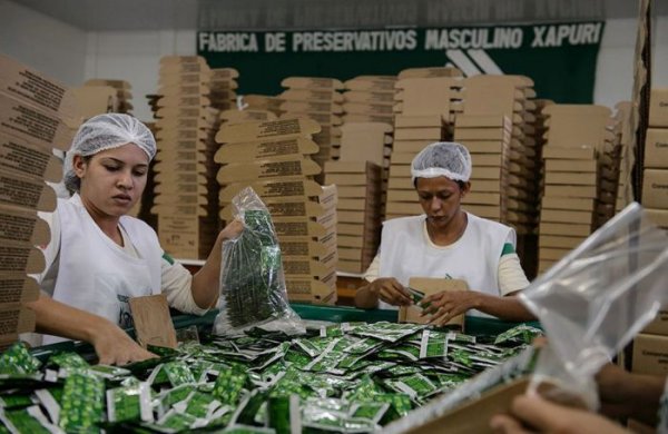 Как делают презервативы в лесах Бразилии