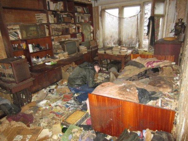 В пустующей Петрозаводской квартире жили более 20 кошек