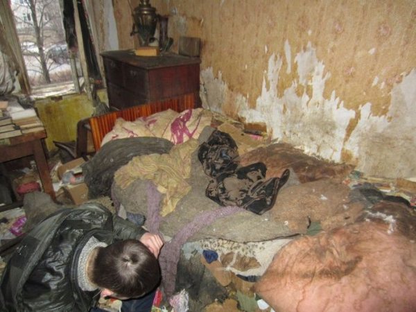 В пустующей Петрозаводской квартире жили более 20 кошек