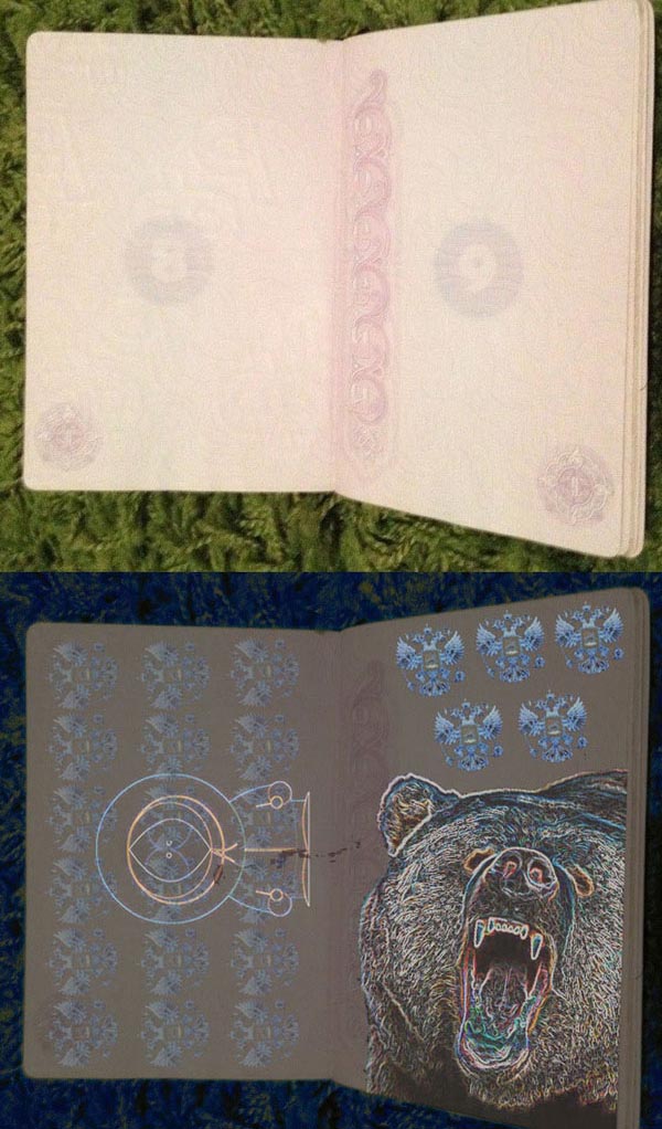 Как будет выглядеть российский паспорт в свете ультрафиолета