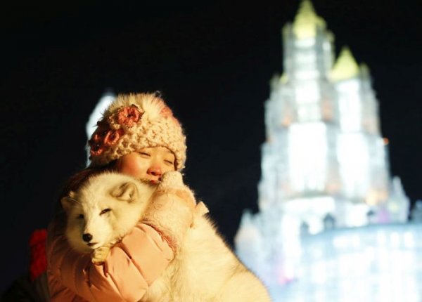 В Харбине проходит фестиваль скульптур из снега и льда
