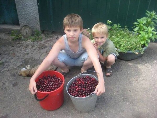Как пользователи Рунета поддерживают детей Донбасса