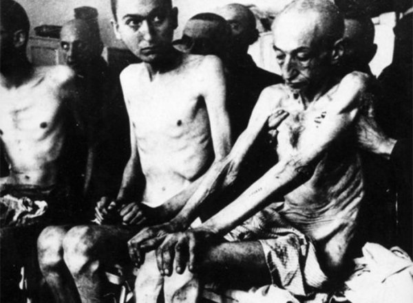 Освенцим в страшных цифрах и ужасающих фактах