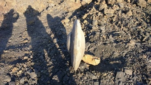 В Кемеровской области обнаружили древний каменный диск в форме летающей тарелки