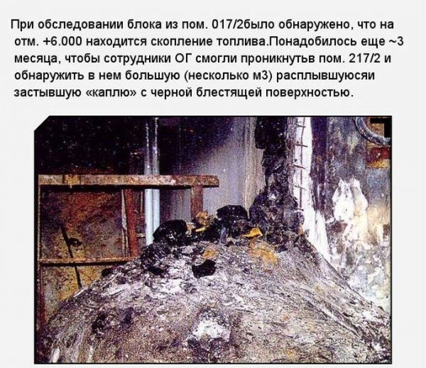 «Слоновья нога» в зоне отчуждения Чернобыльской АЭС