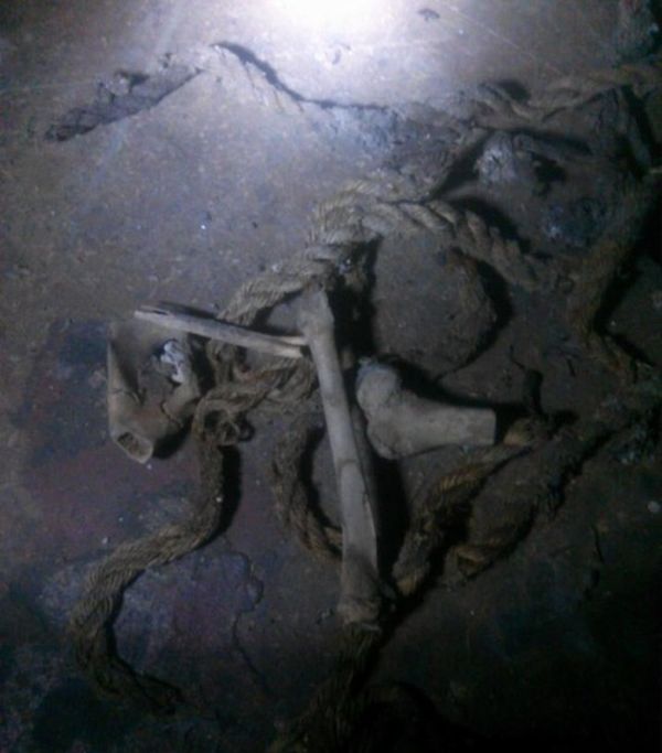 Исследование костей, найденных в подвале дома
