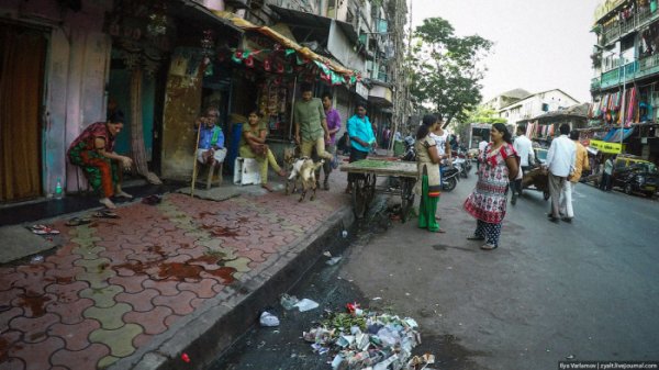 Прогулка по кварталу Каматипура индийского города Мумбаи