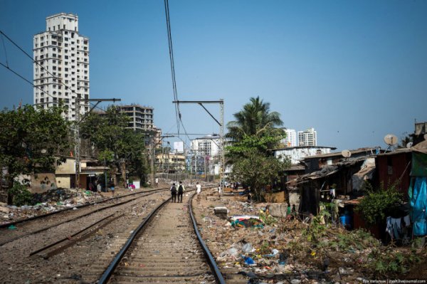 Как устроена жизнь в трущобах Мумбая – Дхарави