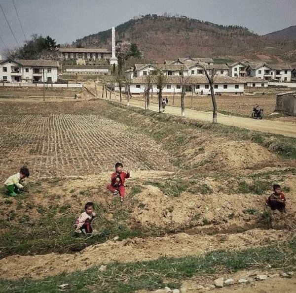 Земледелие в Северной Корее