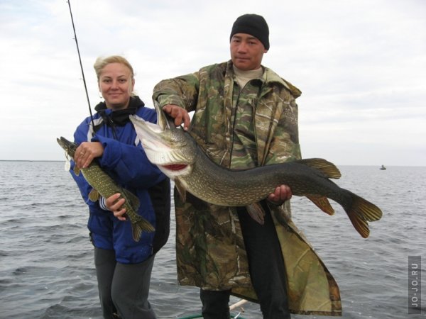 На рыбалку в Астрахань