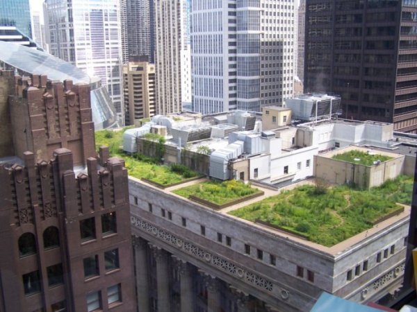 Во Франции владельцев недвижимости в коммерческой зоне обязали покрывать крыши растениями или солнечными панелями