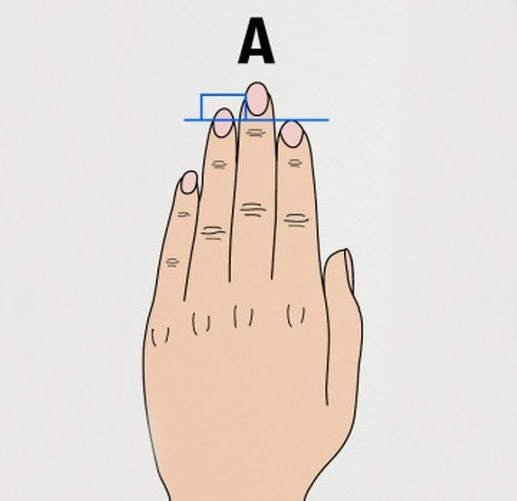 Что может сказать длина пальцев о характере человека