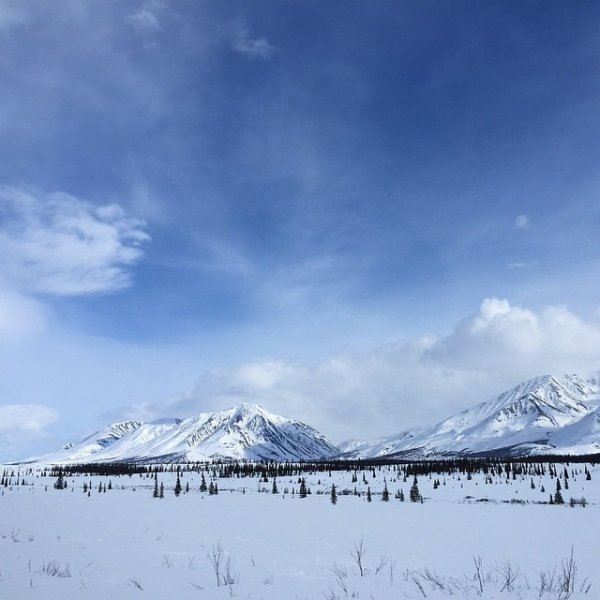 Аляска на фото в Instagram