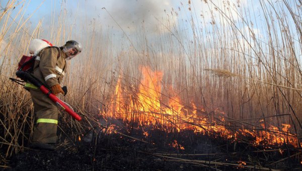 Пал сухой травы привел к множеству крупных пожаров в Хакасии