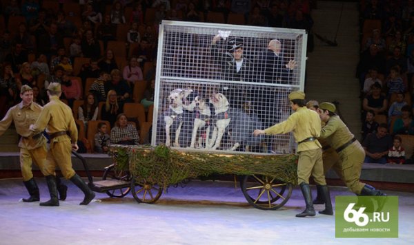 Цирк Екатеринбурга представил праздничную программу «Салют победы»