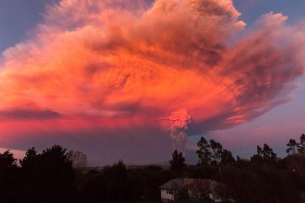 Чилийский вулкан Кальбуко начал выбрасывать пепел
