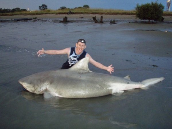 Австралиец голыми руками отбился от напавшей на него акулы