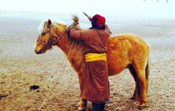 Фотографии со страниц монгольских пользователей соцсетей