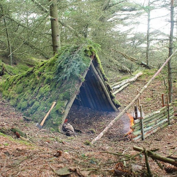 Уютный шалаш в лесу