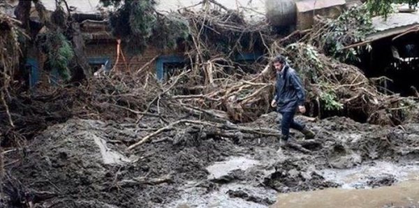 Член правительства Грузии Каха Каладзе принимает участие в ликвидации последствий наводнения в Тбилиси