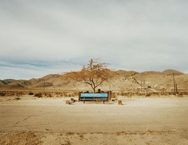 Жители американской пустыни в фотопроекте Памелы Литтки