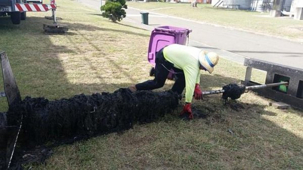 Австралийские коммунальщики борются с влажными салфетками