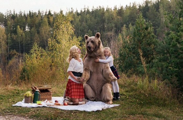 Фотосет пикника с медведем шокировал зарубежные СМИ и пользователей сети