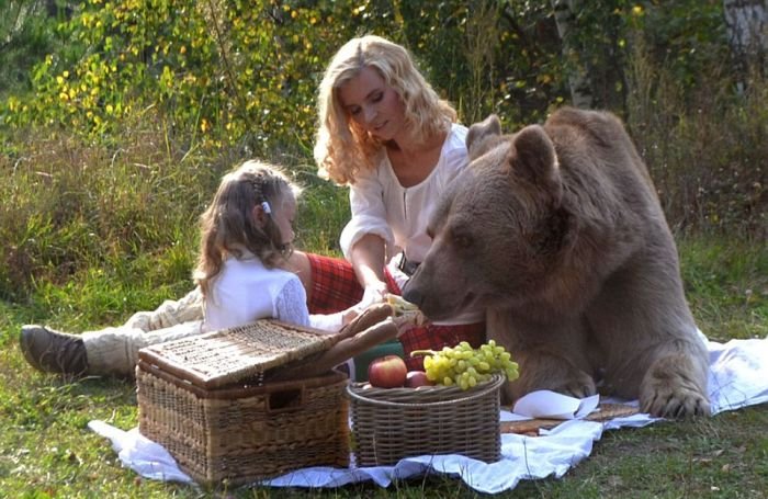 Фотосет пикника с медведем шокировал зарубежные СМИ и пользователей сети