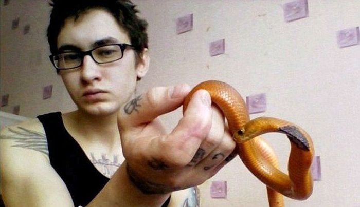 21-летний заводчик ядовитых змей из Тольятти умер от укуса королевской кобры
