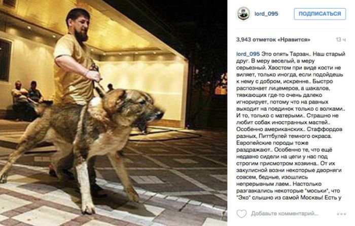 Спикер чеченского парламента Магомед Даудов пригрозил оппозиционерам овчаркой Кадырова