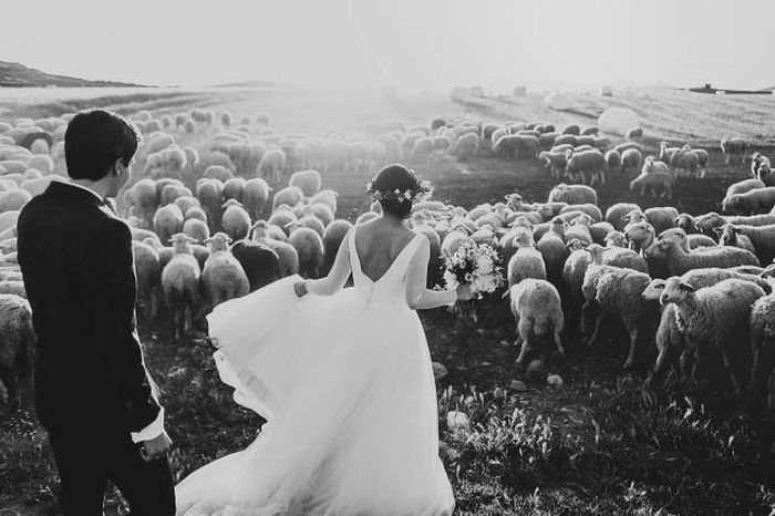 Самые красивые свадебные фото 2015 года