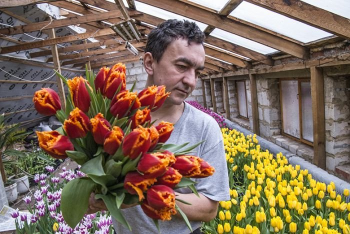 Предприниматель из Белгородской области вырастил 8000 тюльпанов на крыше своего дома