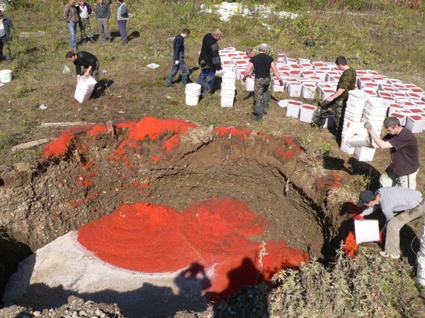 Показательная конфискация и уничтожение 4х тонн красной икры