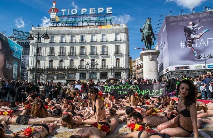 В Мадриде устроили акцию протеста против корриды