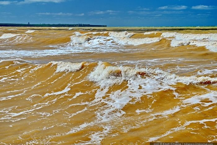  В Крыму воды Черного моря окрасились в желтый цвет
