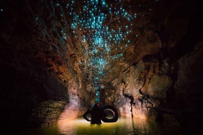  Удивительные пещеры Вайтомо в Новой Зеландии