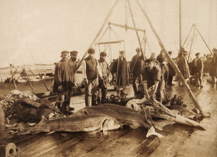  Старые фото русских рыбаков