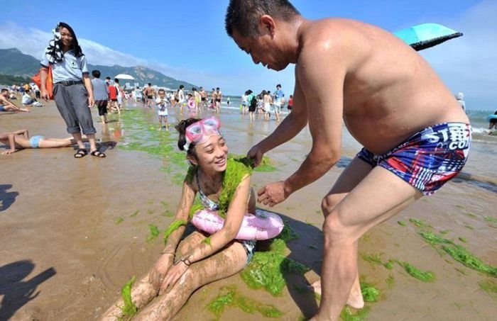  Тонны водорослей на китайском пляже