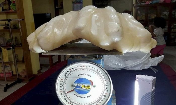 Филиппинский рыбак 10 лет скрывал самую большую жемчужину в мире (2 фото)