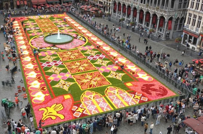  Цветочные ковры на центральной площади Брюсселя (9 фото)
