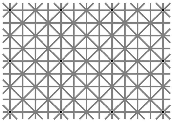 Оптическая иллюзия Нинье взбудоражила пользователей сети (1 картинка)