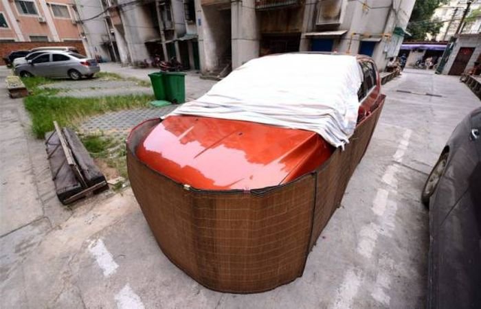  Китайская защита автомобиля от грызунов-вредителей (8 фото)