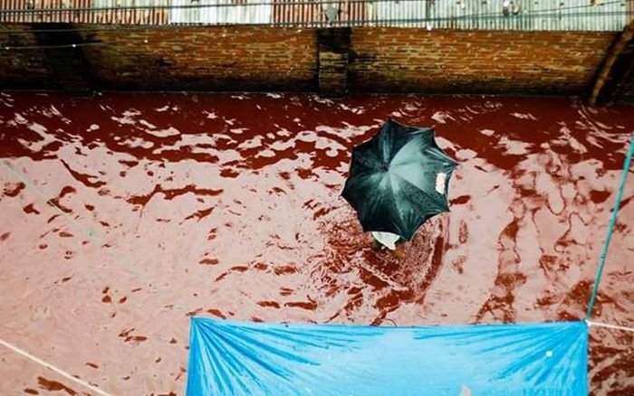  Кровавые реки на улицах Дакки во время празднования Курбан-байрама (6 фото)