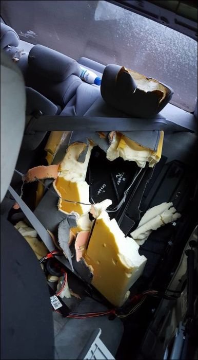В поисках еды медведь уничтожил салон автомобиля (9 фото)